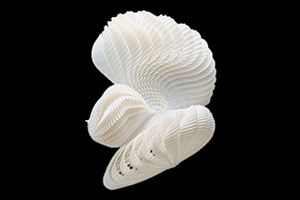 VeroPureWhiteの写真