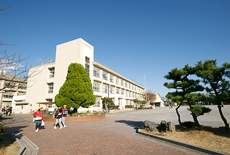 画像：神奈川県平塚市立港小学校
