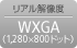 リアル解像度 WXGA(1,280×800ドット)