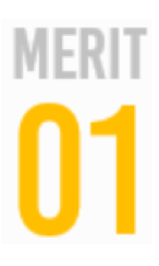 画像：MERIT01
