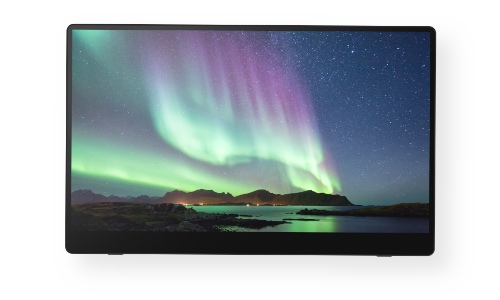 RICOH Portable Monitor 150BW/150