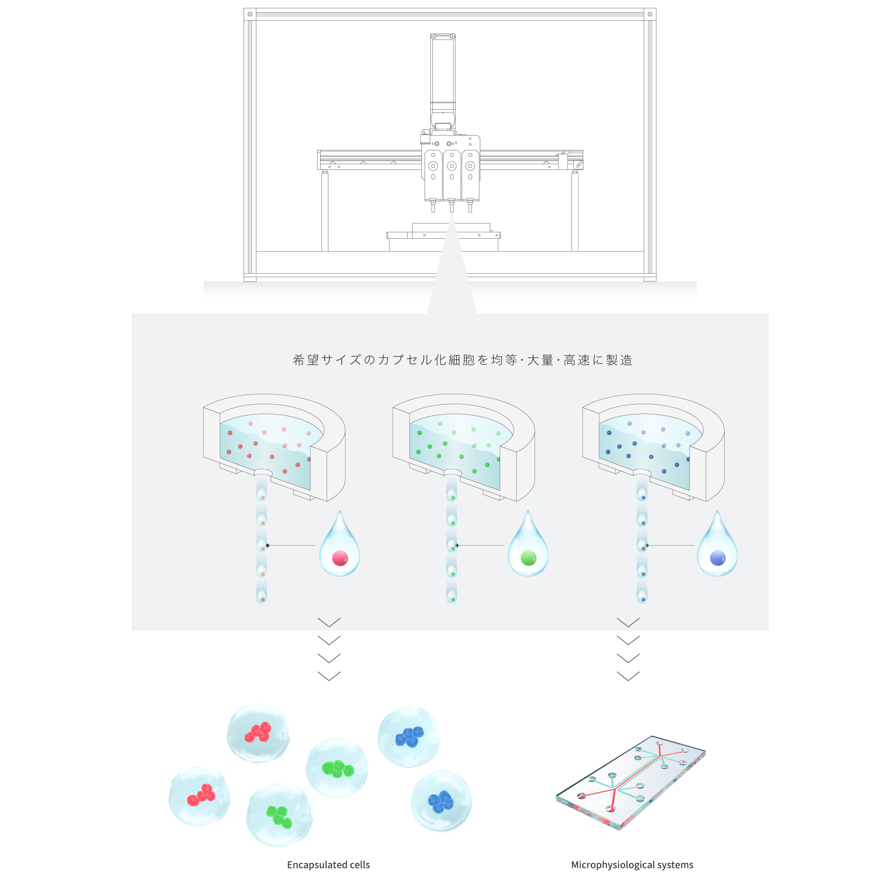 前述の内容を表した画像