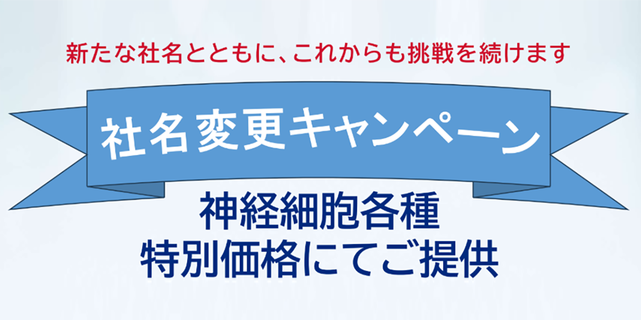 別ウィンドウで開く