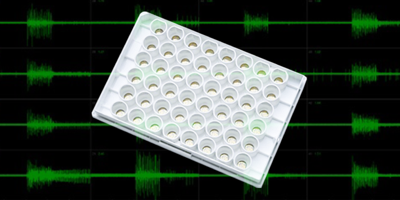 コラムページへ移動