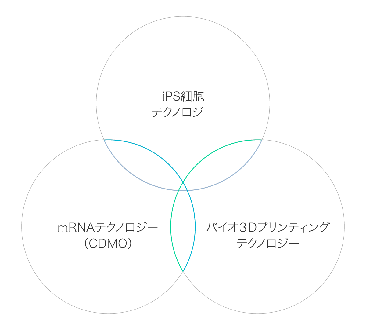 前述の内容を表した図