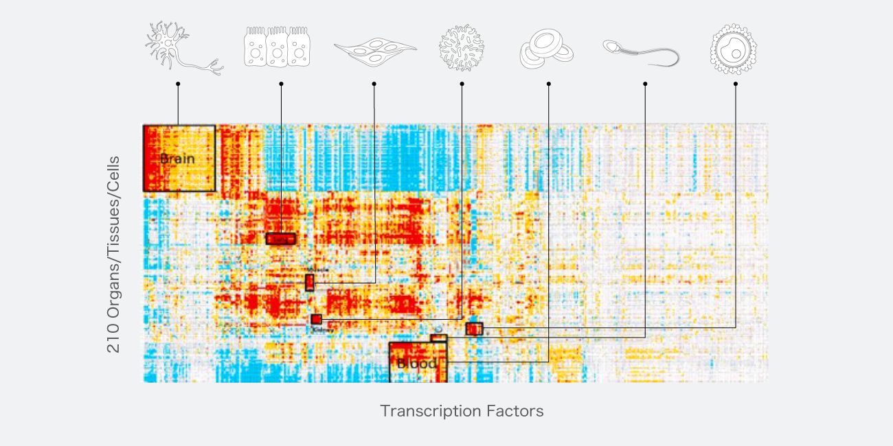 前述の内容を表した画像