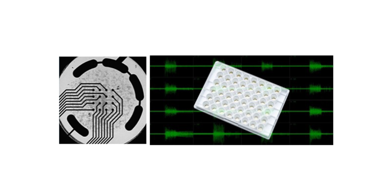 拡大画像を表示