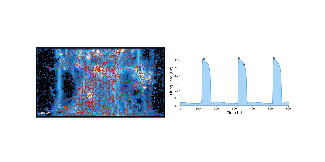 拡大画像を表示