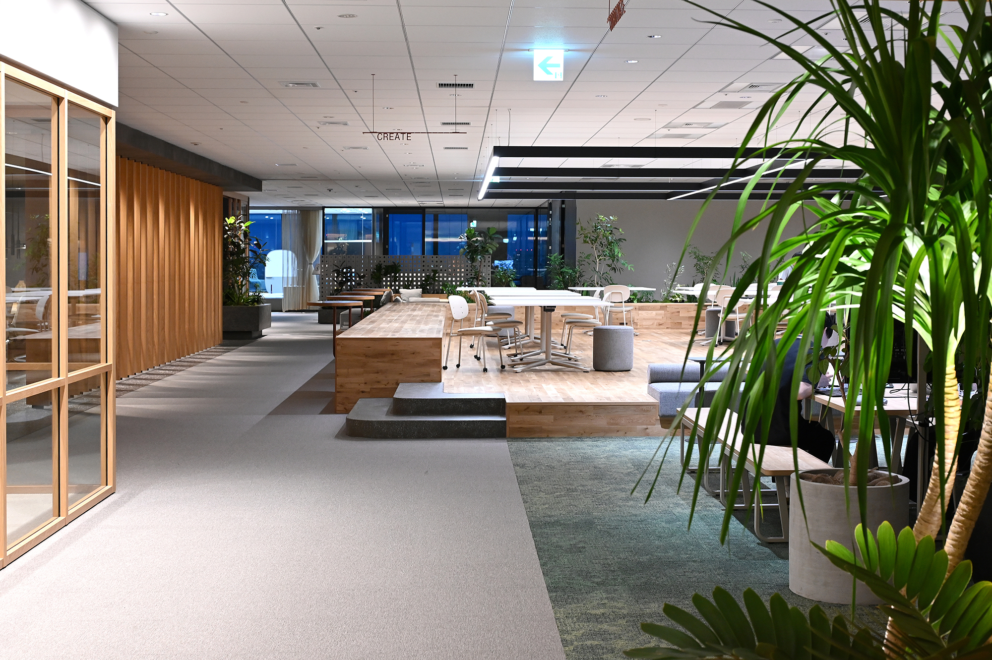 導入の背景と効果