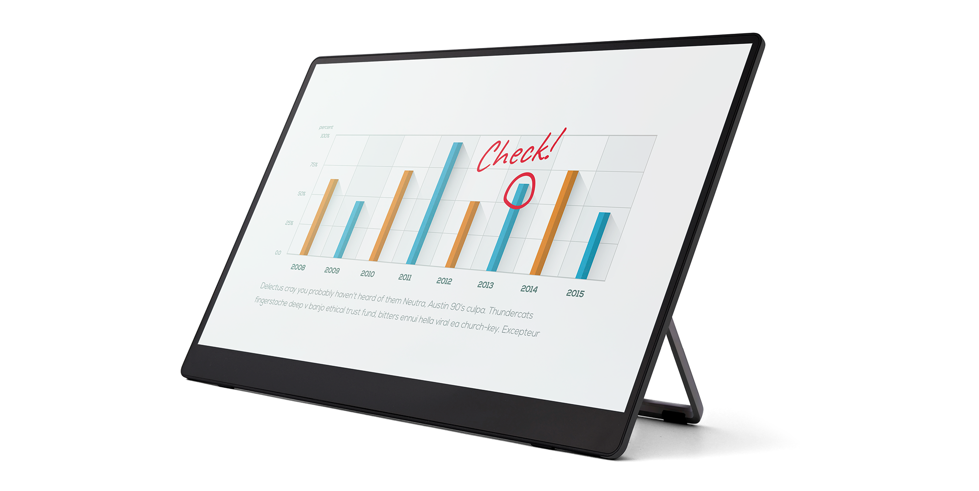 RICOH Portable Monitor 150