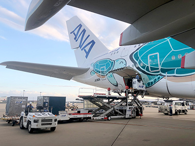 ANA成田エアポートサービス株式会社