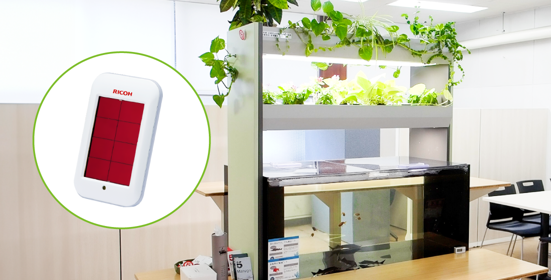 後述の内容を表した画像2