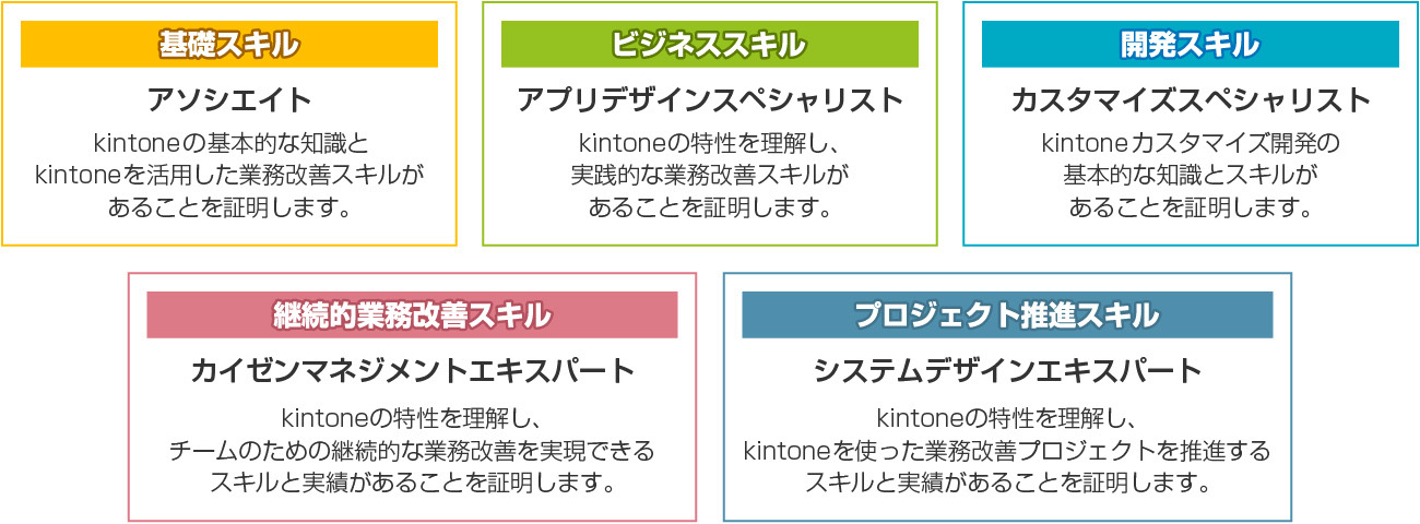 基礎スキル：アソシエイト、ビジネススキル：アプリデザインスペシャリスト、開発スキル：カスタマイズスペシャリスト、継続的業務改善スキル：カイゼンマネジメントエキスパート、プロジェクト推進スキル：システムデザインエキスパート