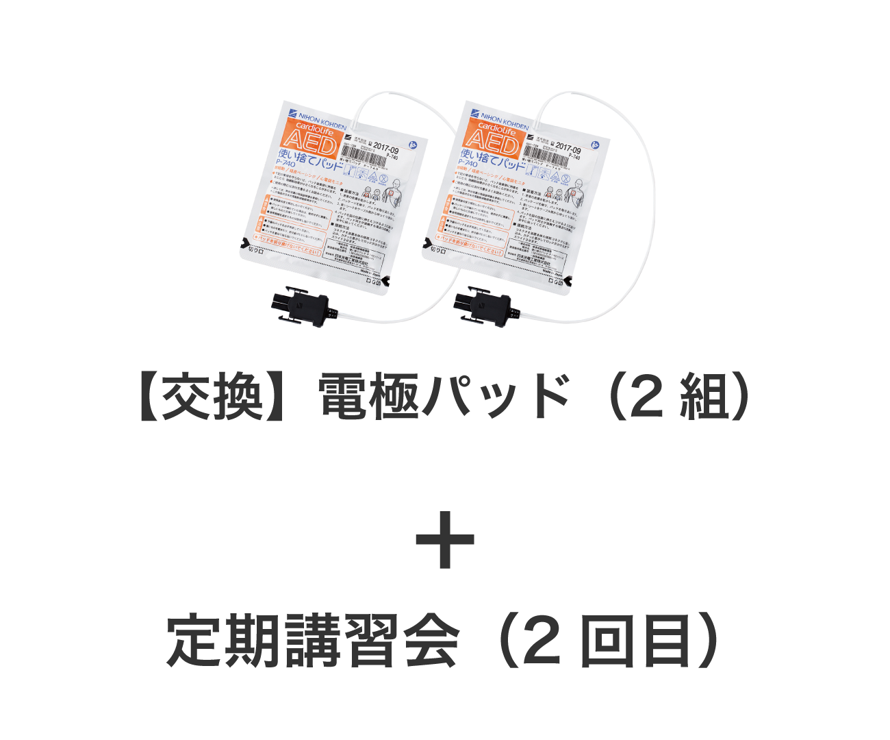 【交換】電極パッド（2組）＋定期講習会（2回目）