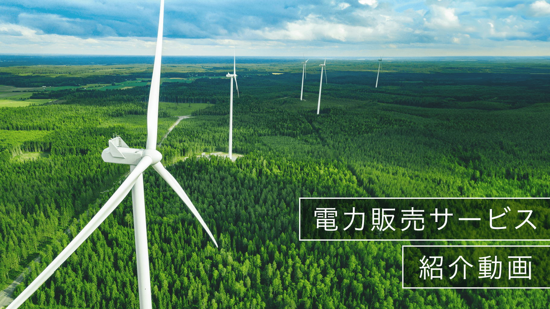 動画を見るにはこちらをクリックしてください。