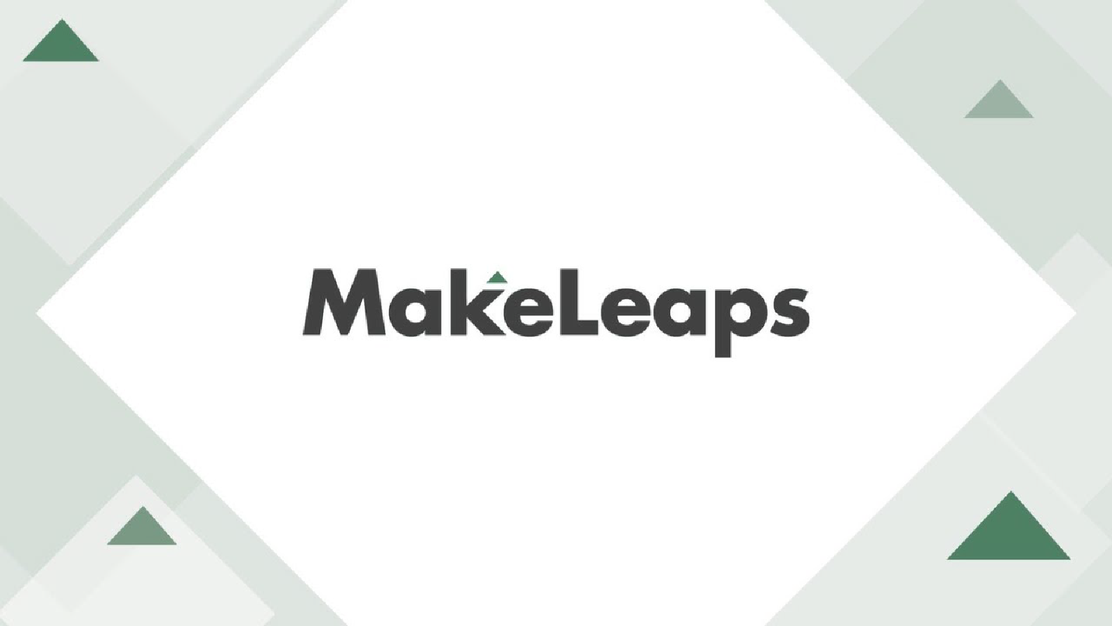 MakeLeaps説明動画