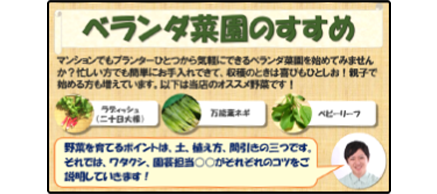 ベランダ菜園のおすすめ