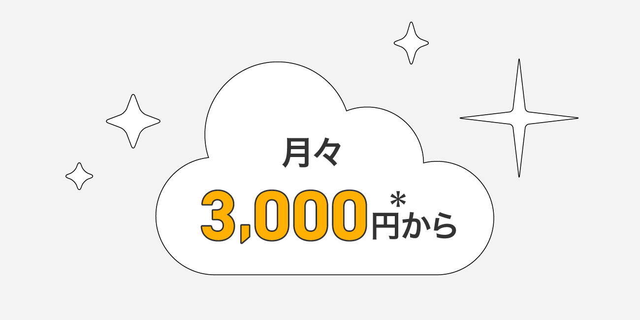 月々3,000円*から