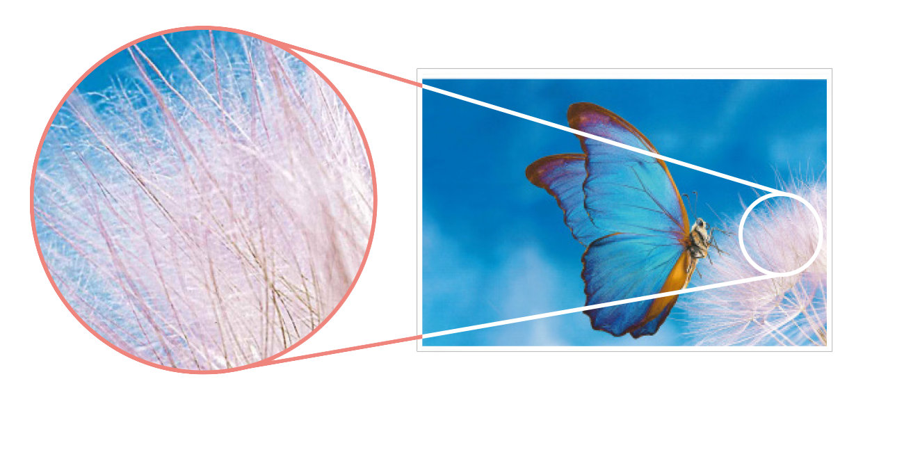 画像：4,800dpi相当×1,200dpiの高精細画質