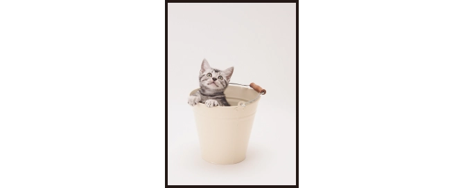 フチなしのサンプル画像