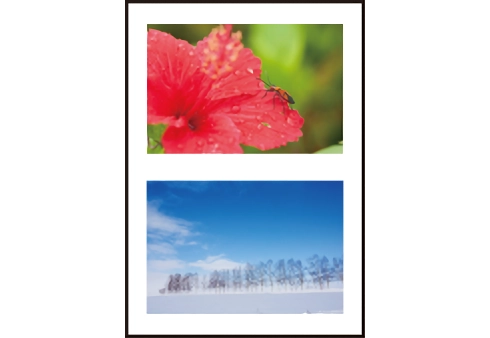 2分割（L判のみ）のサンプル画像