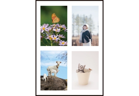 4分割のサンプル画像