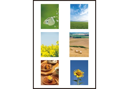 6分割のサンプル画像