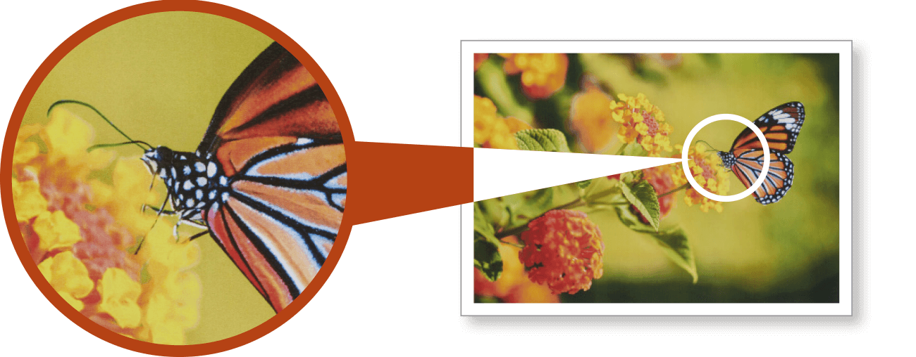 前述の内容を表した画像