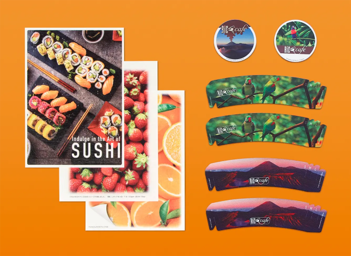 前述の内容を表した図