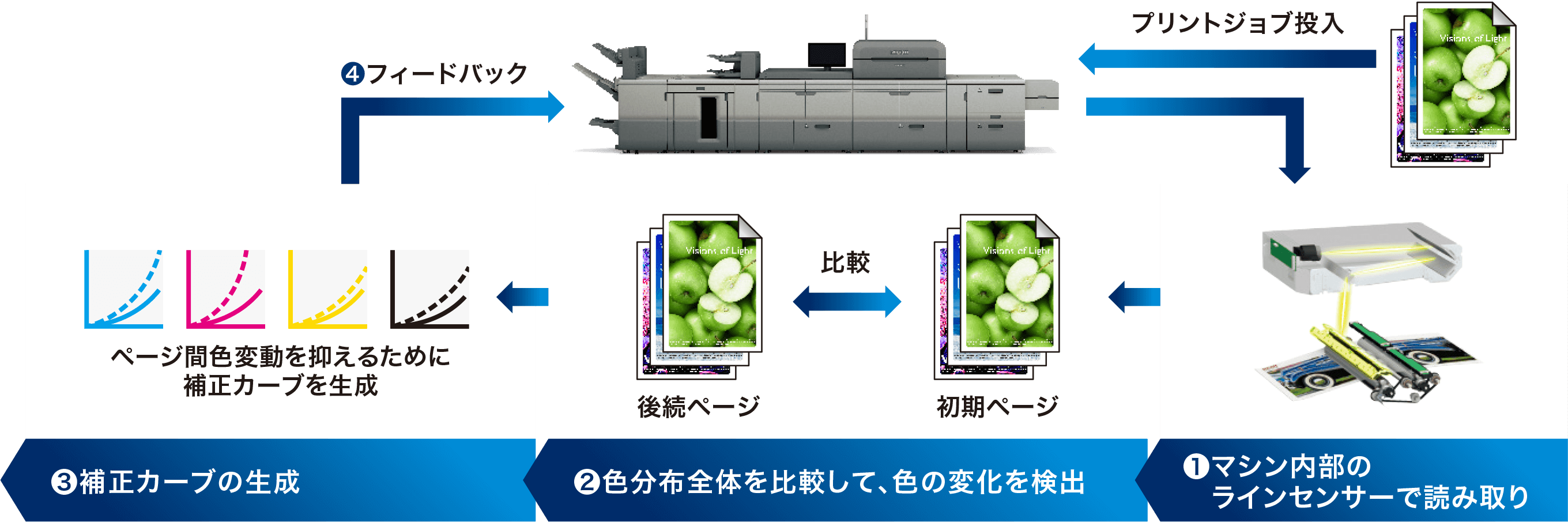 画像：●カラーホーミングの仕組み