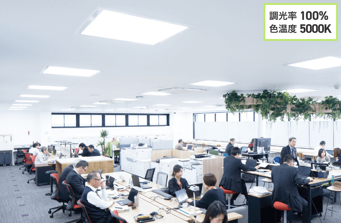 前述の内容を表した図