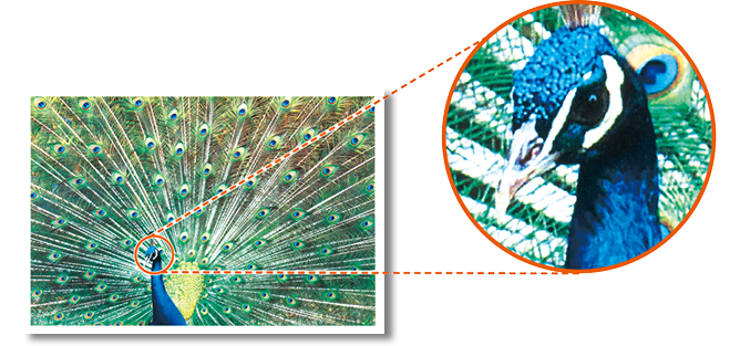 前述の内容を表した画像