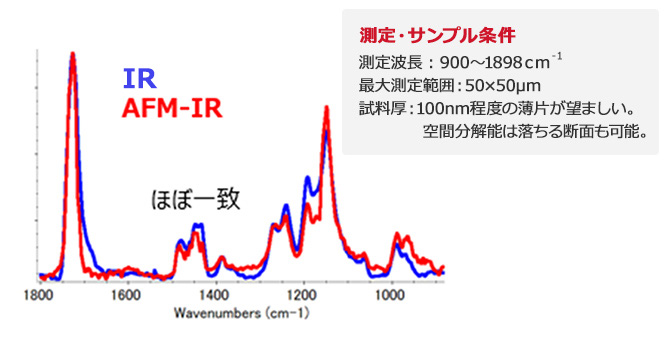 取得したAFM-IRスペクトル