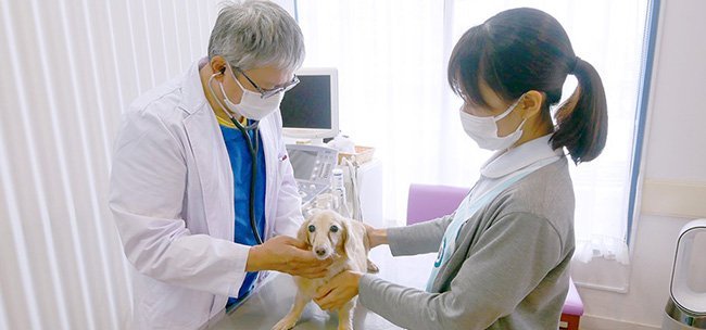 すぎもと動物病院の診察室