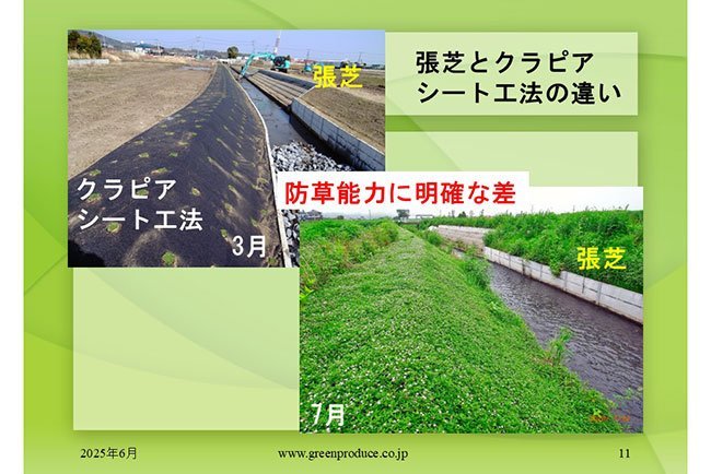 専用の防草シートを使った工法だと、芝で張り付けた工法に比べて雑草の生え方が少なく、年間1～2回程度の刈り込みでメンテナンスができる