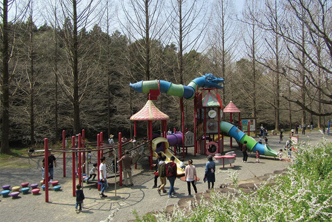 満濃池森林公園内のファミリー広場（撮影者：高橋社長）