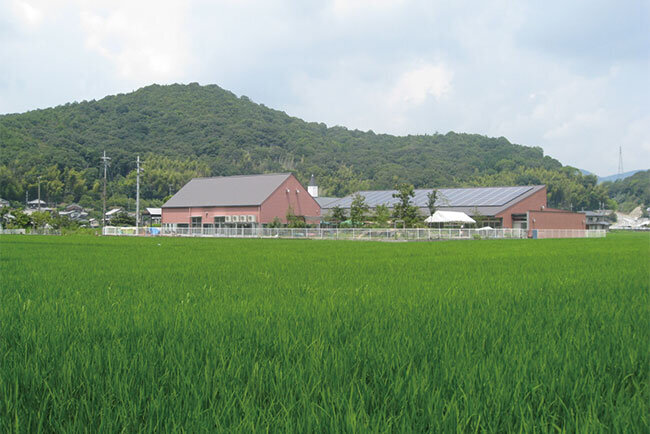 自然に囲まれた環境