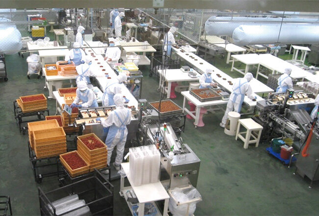 梅干しを生産している様子