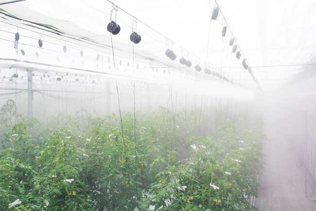 冷房、加湿、防除の3つの役割を果たす画期的な自動栽培支援システム