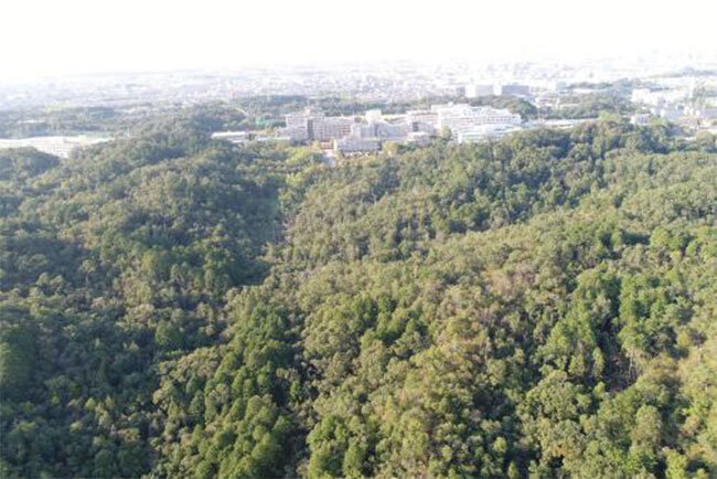 上の山が1つ取り崩されて完成した「滋賀アリーナ（新県立体育館）」の造成工事