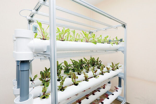 名古屋工場・名古屋営業所に作られた植物工場の試験施設