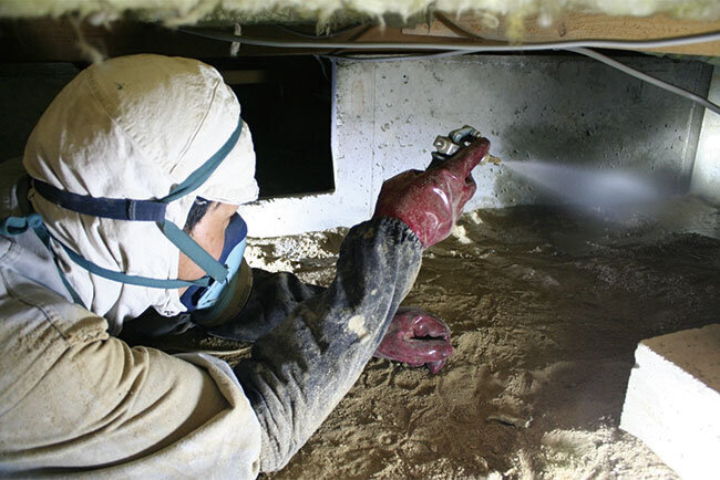 シロアリ防除作業の様子