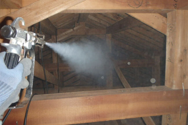 害獣対策の様子