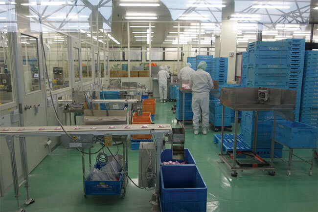 現在の検品工程は人手に頼っている