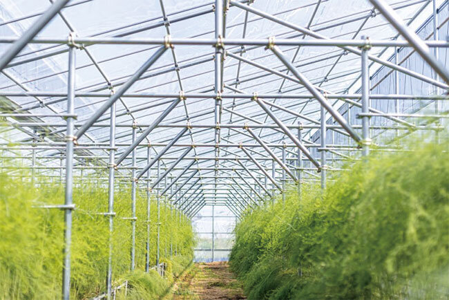 常谷種苗園芸がスマート農業を推進する農業ハウス