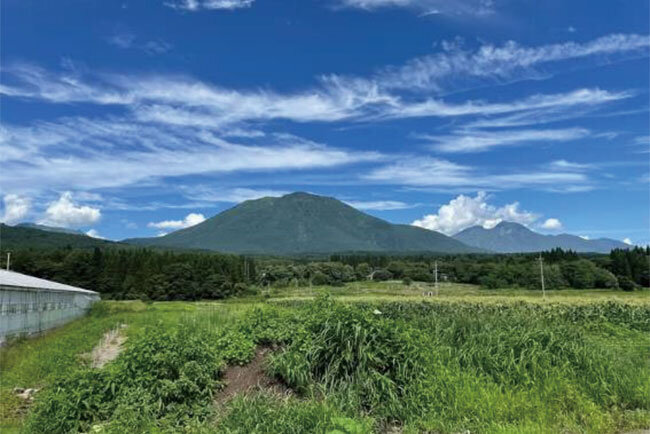 「ファームかずと」のある信濃町から望む黒姫山。この地域では甘みの強いとうもろこしが特産品となっている。