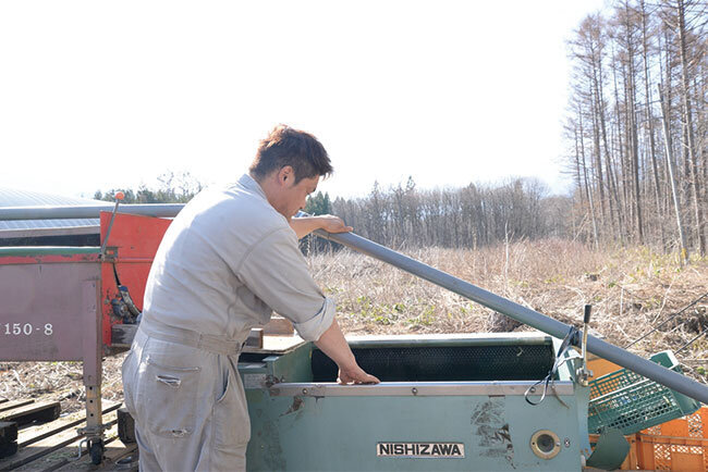 選果場で作業を行う生産部の竹田和也さん。ファームかずとに欠かせない一員だ