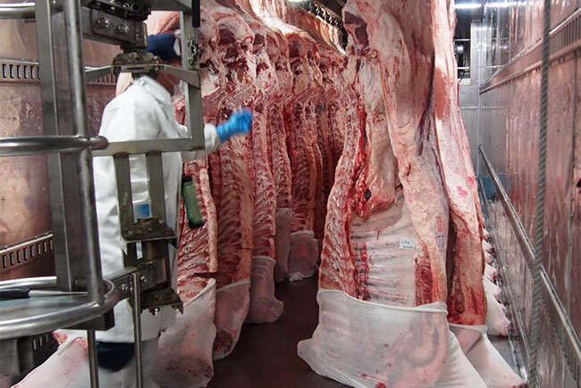 仕入れる牛はすべて黒毛和牛の雌だ。味の良さが特徴