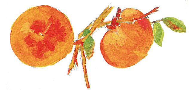 たまゆらの絵のロゴマーク