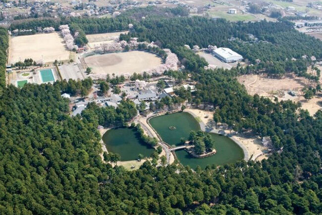 大芝高原の全景